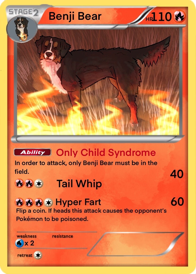 Custom Your as a Pet Pokémon Card Set Evolutions - Etsy