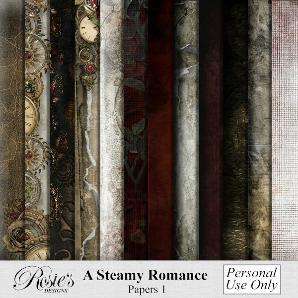 The steamie essay 05 picture