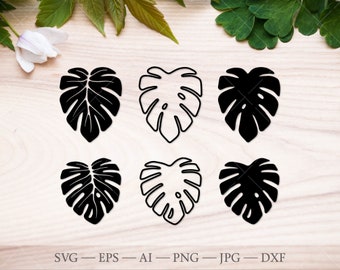 Featured image of post Monstera Leaf Png Outline