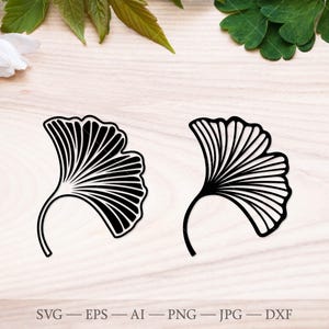 Paquete SVG de hojas de ginkgo, archivo botánico (descarga digital)