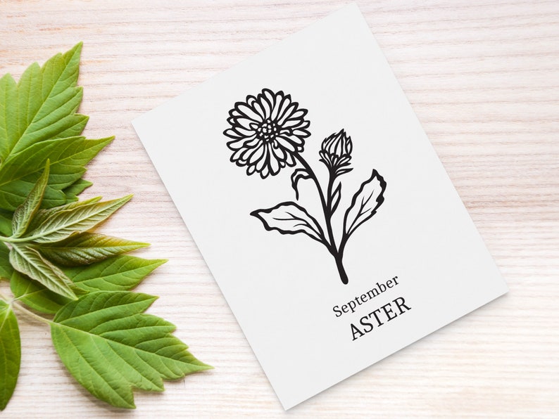 Free Free 79 Flower Drawing Svg SVG PNG EPS DXF File