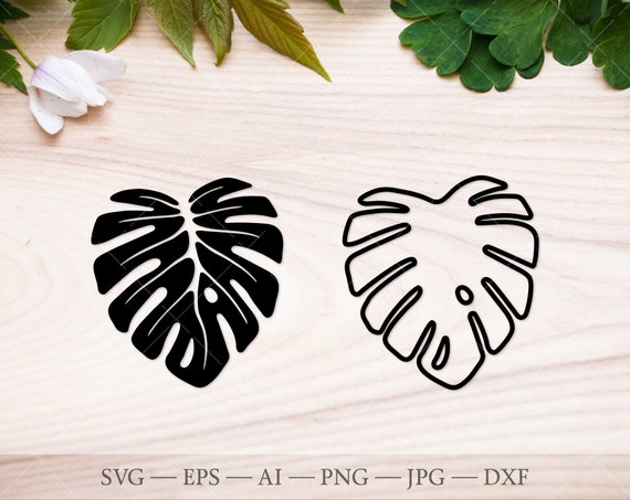 Monstera Svg, Monstera Leaf SVG Cutting File, Monstera Outline, Monstera  Plant Svg, Tropical Leaves Svg, Monstera Silhouette - Etsy