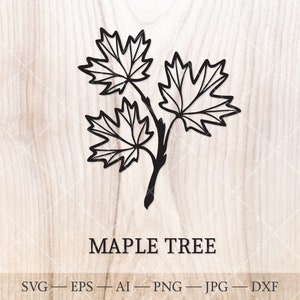 Érable SVG. Arbres de naissance SVG. Dessin du contour de l'arbre du mois de naissance. Clipart floral d'anniversaire, clipart d'arbre de naissance