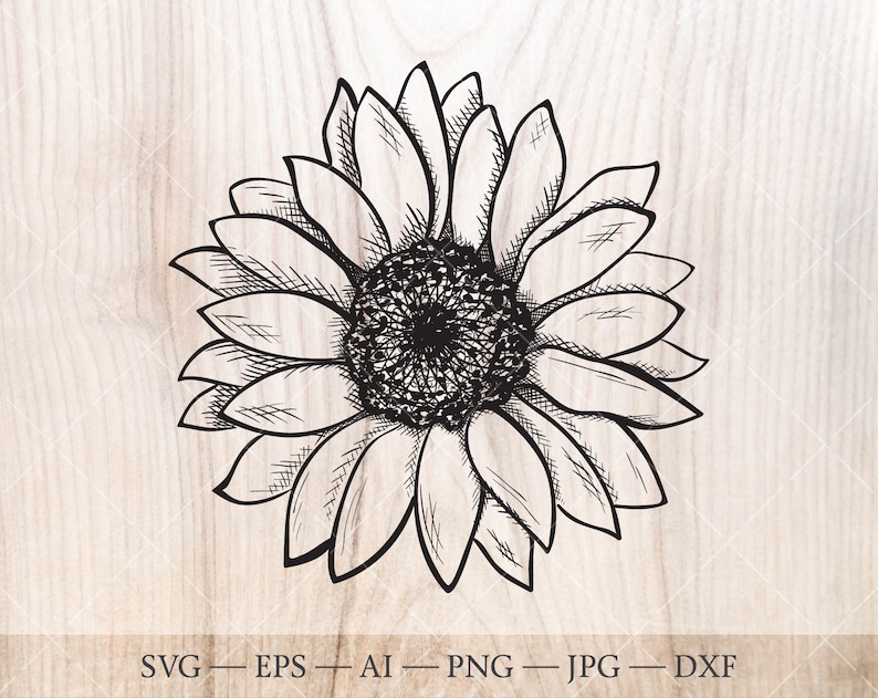 Download Art Collectibles Clip Art Sunflower Clipart Sketch Flower Sunflower Svg