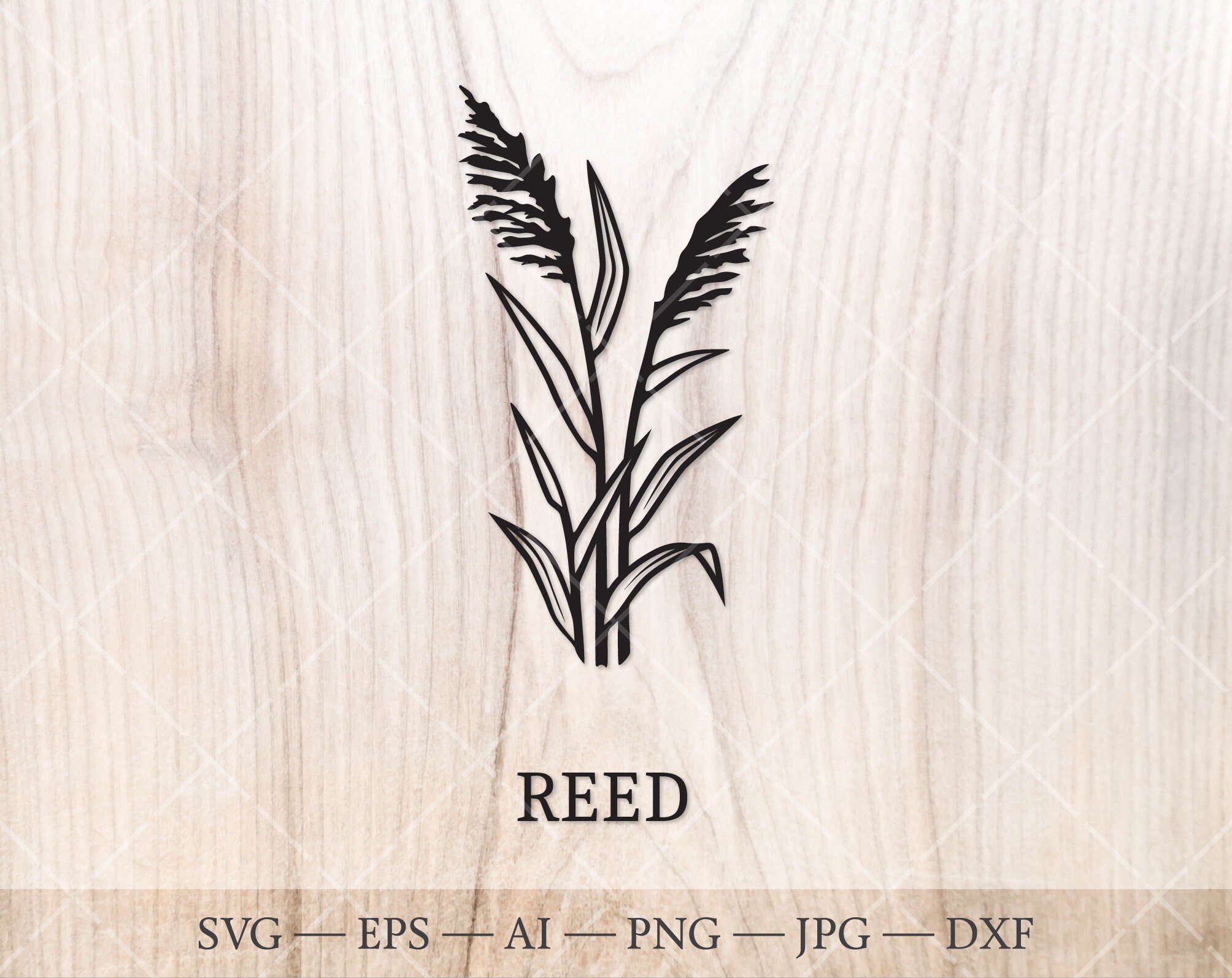Reed SVG. the Celtic Zodiac Birth Tree SVG. Birth Month Tree Outline ...