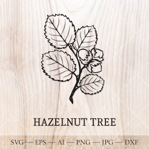 Haselnussbaum SVG. Geburtsbäume SVG. Geburtsmonat Baum Umrisszeichnung. Geburtstag Blumen Clipart, Geburtsbaum Clipart
