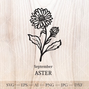 Astre SVG. Septembre Naissance Fleur SVG. Dessin de contour de fleur de mois de naissance. Clipart de fleur d'anniversaire