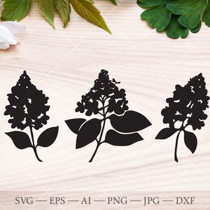 Hydrangea flower svg. Hortensia flower silhouette clipart. Floral Illustration