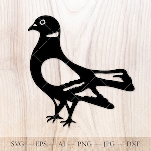 Duif SVG-silhouet, duif svg, duif silhouet, vogel silhouet, postvogel svg, duif clipart, duif illustraties, SVG-bestand knippen voor Cricut
