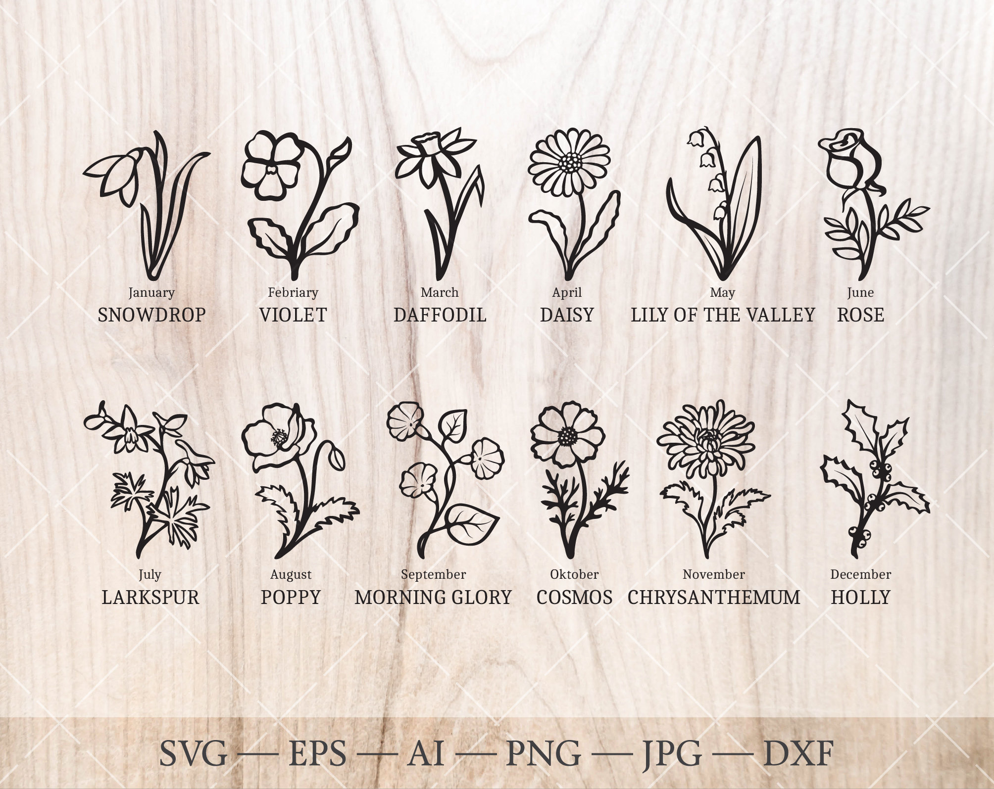 Birth month flower outline drawings. 