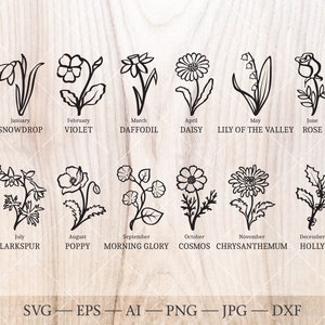 Geburt Blume SVG Bundle. Geburtsmonat Blumen Umrisszeichnungen. Geburtstag Blumen Clipart, Geburt Blumenkunst