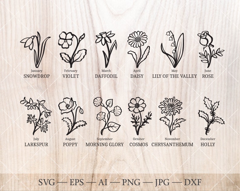 May include: Black and white line art of twelve flowers, each representing a month of the year. Includes Snowdrop, Violet, Daffodil, Daisy, Lily of the Valley, Rose, Larkspur, Poppy, Morning Glory, Cosmos, Chrysanthemum, and Holly. Text at the bottom reads: SVG - EPS - AI - PNG - JPG - DXF.