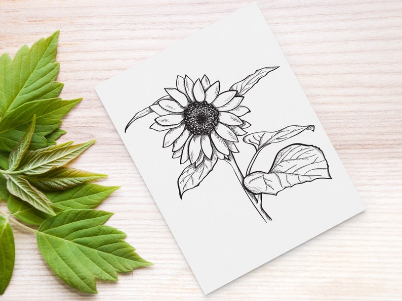 Download Sketch Flower Svg Sunflower Svg Floral Illustration Sunflower Clipart Clip Art Art Collectibles
