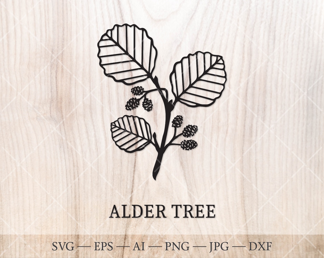 Alder Tree SVG. the Celtic Zodiac Birth Tree SVG. Birth Month Etsy