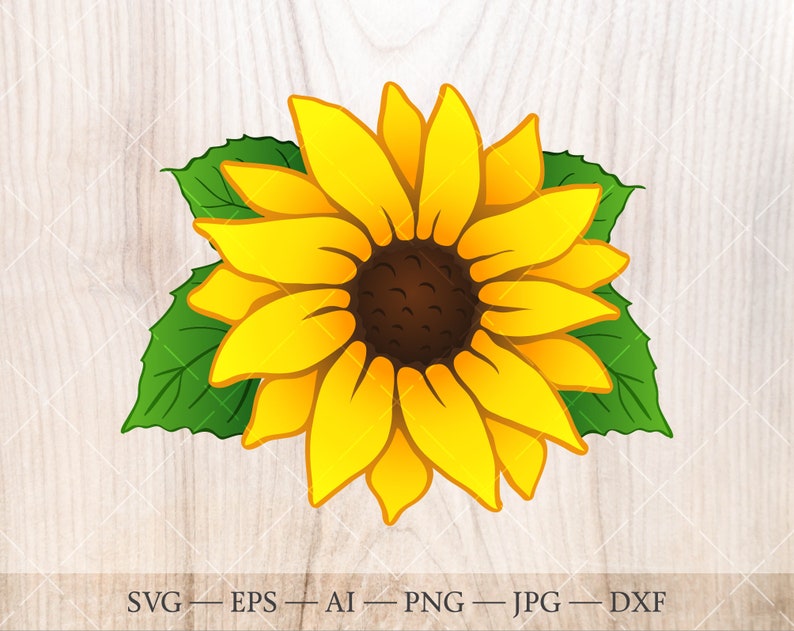 Download Sunflower bouquet SVG. Hand drawn Sunflower clipart. | Etsy