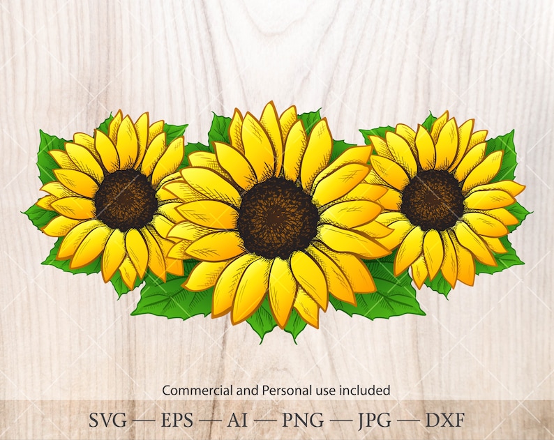 Download Sunflower bouquet SVG. Hand drawn Sunflower clipart. | Etsy