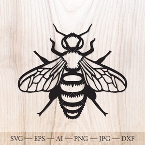 Honey bee SVG, honeybee SVG, bee silhouette PNG. Western honey bee svg file, beekeeper svg, honey bee clip art, cute bee svg