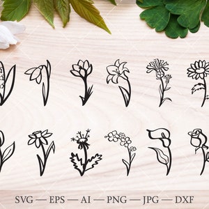 Pacchetto SVG della sagoma del contorno del fiore di primavera. Margherita svg. Tulipano, croco, nontiscordardime svg. Bucaneve, Crocus, Lilium svg