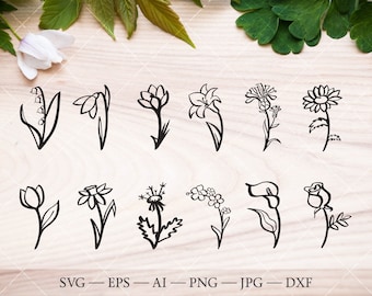 Spring flower outline silhouette SVG bundle. Daisy svg. Tulip, crocus, forget-me-not svg. Snowdrop, Crocus, Lilium svg