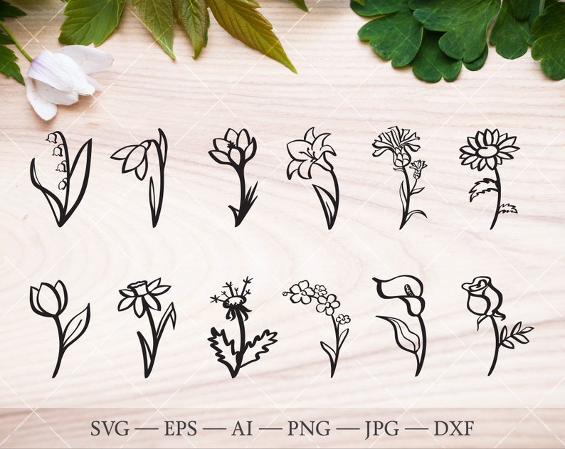 K&ouml;nnte beinhalten: Ein Satz von 12 Schwarzwei&szlig;-Zeichnungen verschiedener Blumen, darunter Lilien, Tulpen, G&auml;nsebl&uuml;mchen und Rosen. Die Blumen sind alle in einer einfachen, stilisierten Art und Weise gezeichnet.