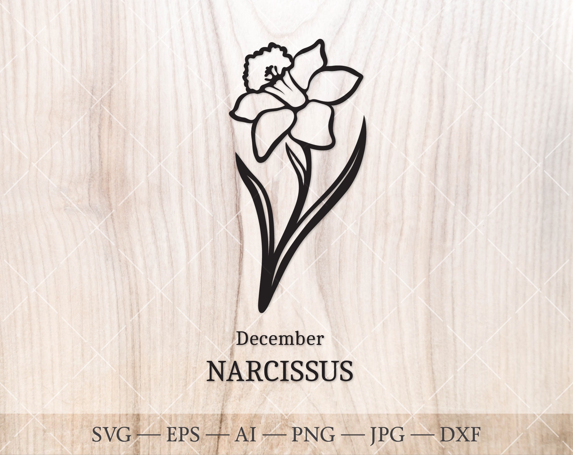 Narcissus December birth flower  December birth flower Birth flowers  Violet flower