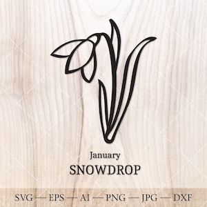 Snowdrop SVG, fiore di nascita di gennaio SVG. Disegno di snowdrop del fiore del mese di nascita. Clipart del fiore di compleanno