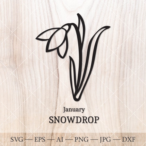 Snowdrop SVG, January Birth Flower SVG. Birth month flower nowdrop  drawing. Birthday flower clipart