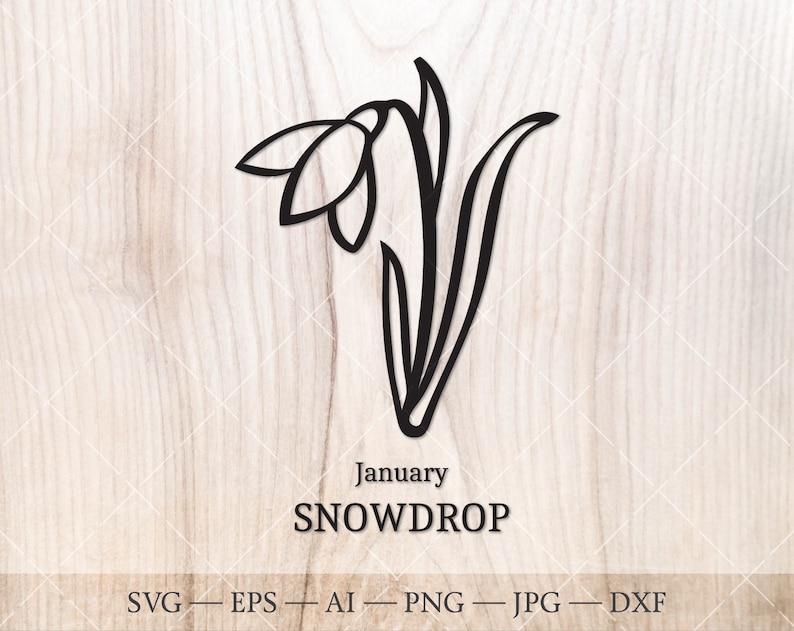 Download Snowdrop Svg Birth Month Flower Nowdrop Drawing Birthday Flower Clipart January Birth Flower Svg Clip Art Art Collectibles Physio Coesfeld De