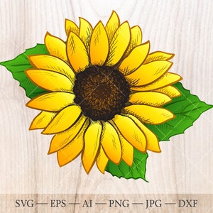 Free Free 315 Clear Background Sunflower Bouquet Svg SVG PNG EPS DXF File