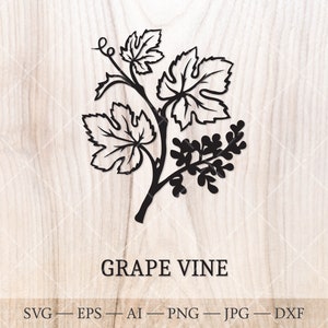 Weinrebe SVG. Der keltische Sternzeichen Geburtsbaum SVG. Geburtsmonat Baum Umrisszeichnung. Geburtstag Blumen Clipart, Geburtsbaum Clipart