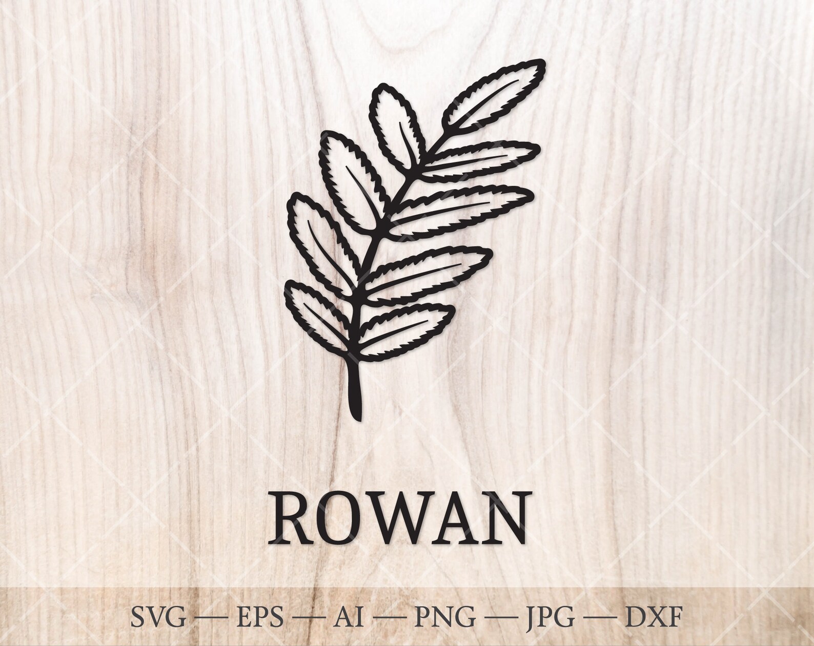 Celtic Tree Calendar SVG. 13 Birth Tree Leaves SVG. Birth Month Tree ...