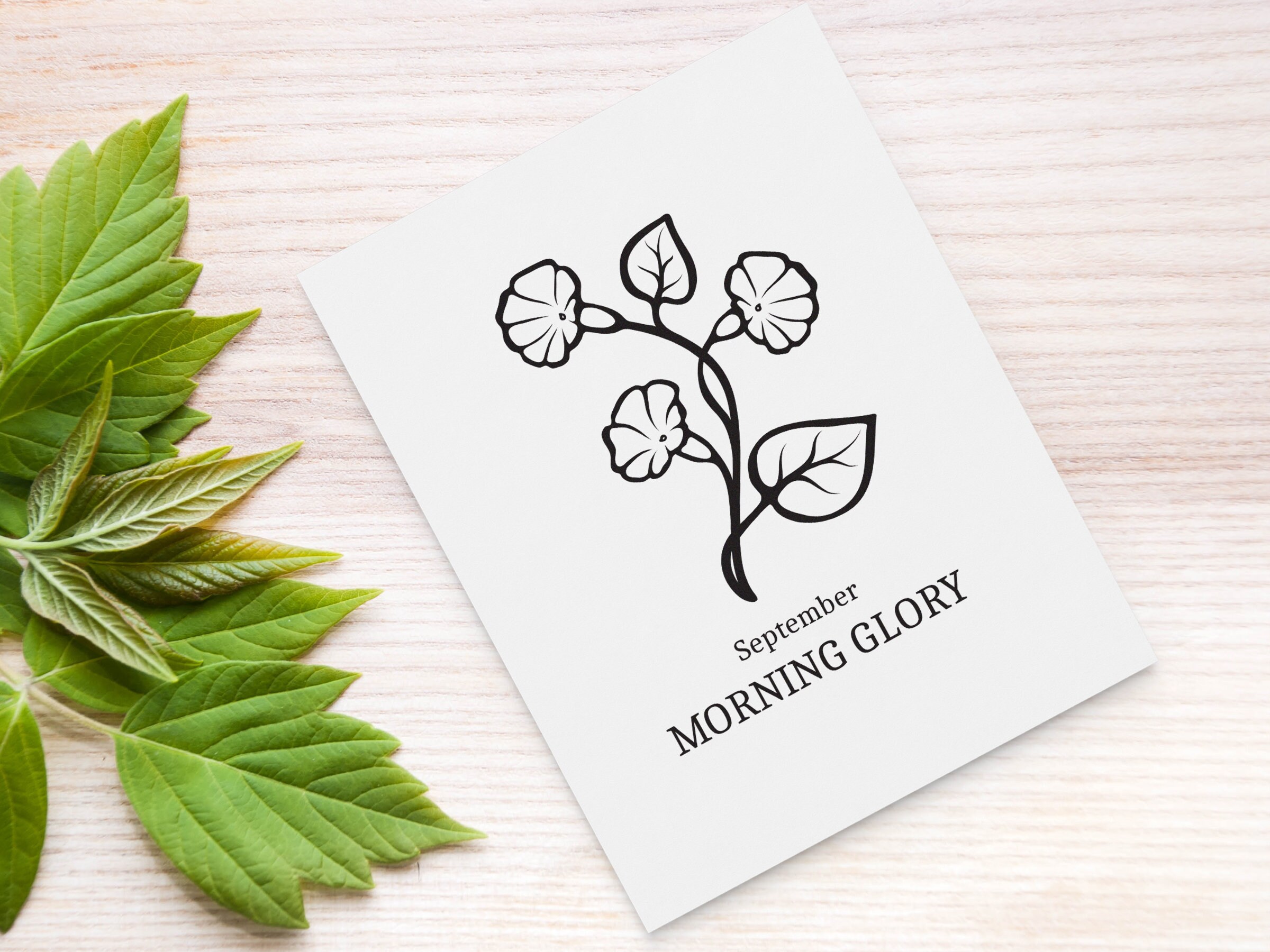 Free Free Birthday Month Svg 394 SVG PNG EPS DXF File