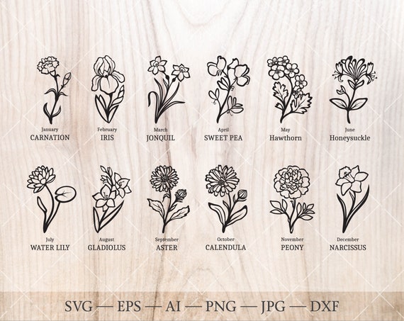 Download Birth Flower SVG bundle. Birth month flower outline ...