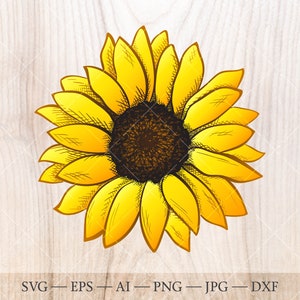 SVG de tournesol. Clipart de tournesol. Fleur de croquis dessiné main