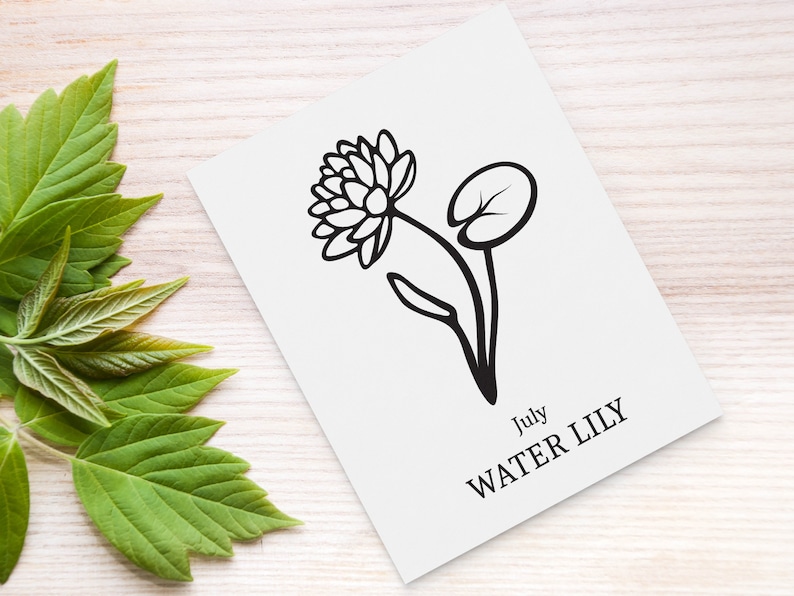 Download Birth Flower SVG bundle. Birth month flower outline ...