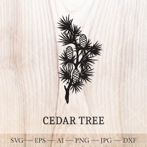 Cèdre SVG. Arbres de naissance SVG. Dessin du contour de l'arbre du mois de naissance. Clipart floral d'anniversaire, clipart d'arbre de naissance