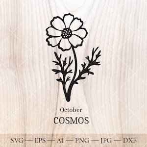 Kosmos SVG, Oktober Geburt Blume SVG. Geburtsmonat Blumenkosmos Zeichnung. Geburtstag Blumen Clipart