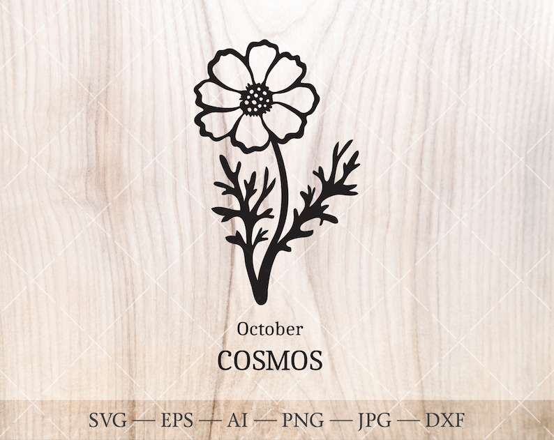 May include: Black and white silhouette of a cosmos flower with the text "October COSMOS" below.