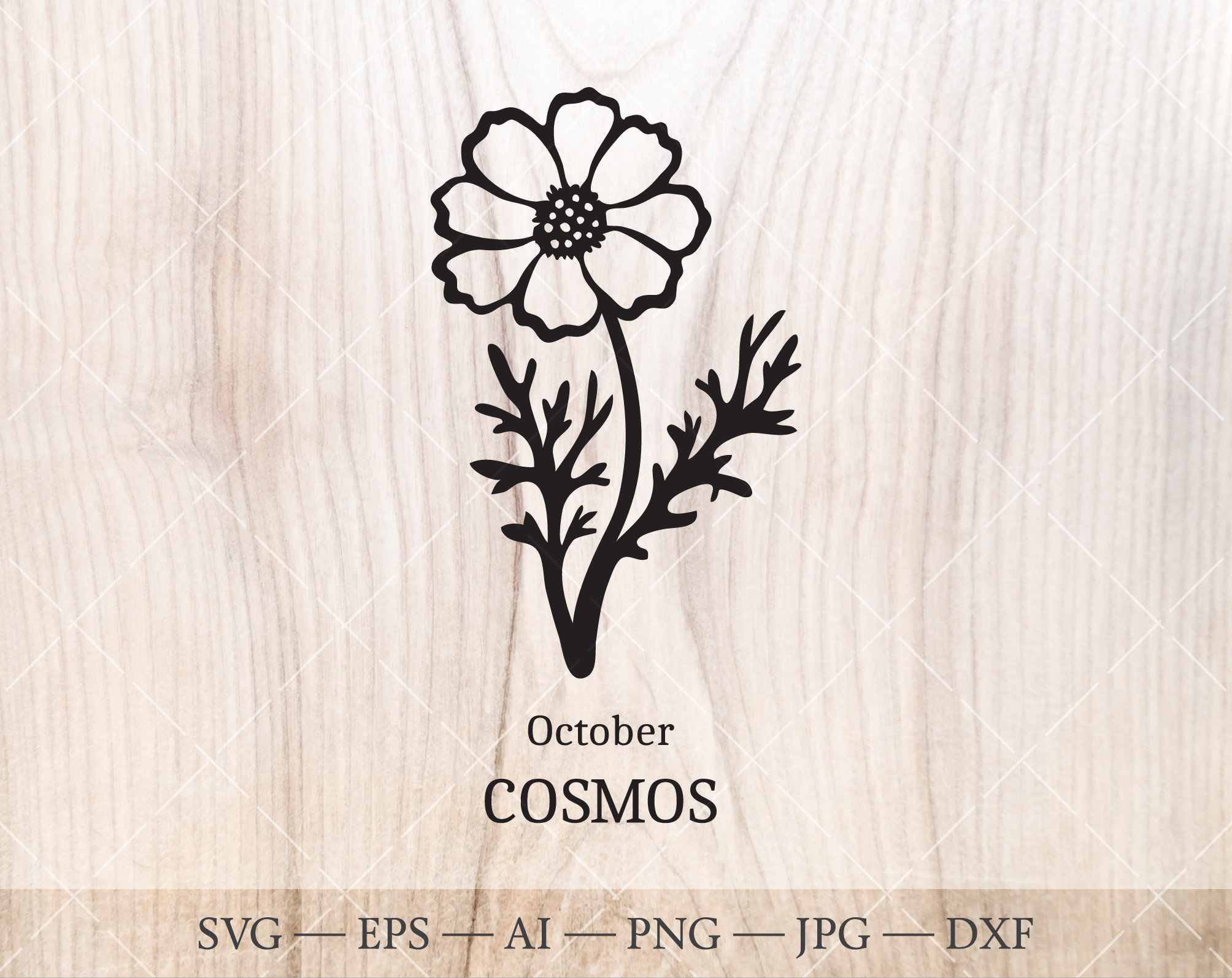 Cosmos SVG, October Birth Flower Birth Month Flower Cosmos Birthday