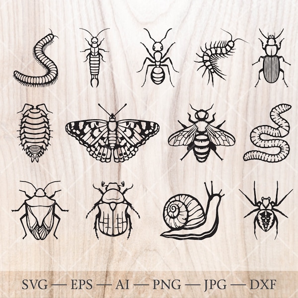 Invertebrates SVG, 13 hand drawn insect SVG cutting files - Butterfly, Bee, Beetle, Ant, Snail, Spider, Millipede, Centiede and more.