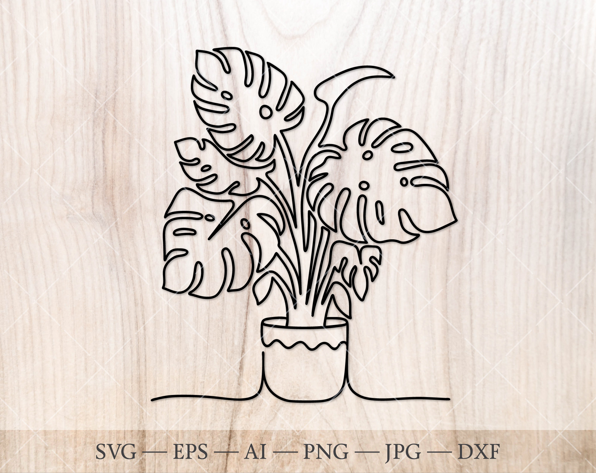 garden pothos Pothos Epipremnum aureum 'Neon' main image 1