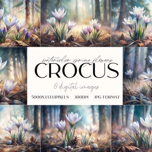 Peut inclure: Un ensemble de huit images numériques représentant des crocus dans un décor de forêt, peints à l'aquarelle. Les images sont de 5000x3333 pixels et 300 DPI au format JPG.