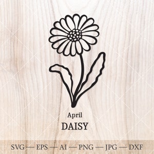 Daisy SVG, April Birth Flower SVG. Desenho de flor do mês de nascimento. Clipart de flor de aniversário