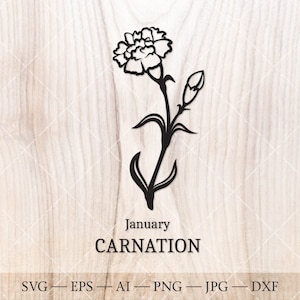Carnation SVG, January Birth Flower SVG. Birth month flower carnation drawing. Birthday flower clipart