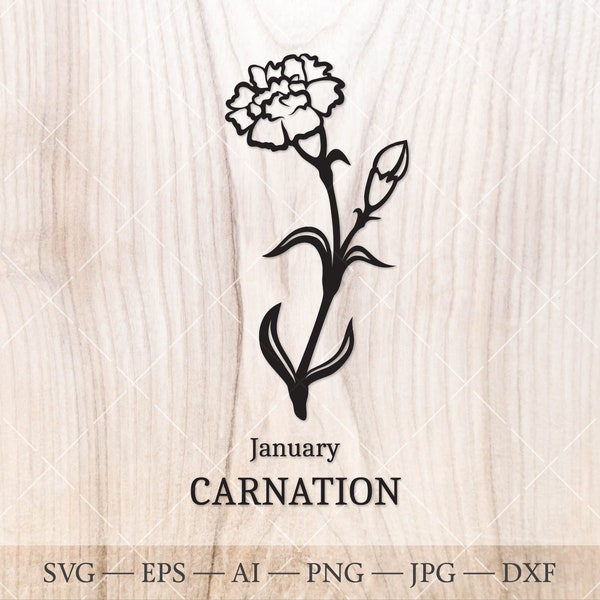 Carnation SVG, January Birth Flower SVG. Birth month flower carnation drawing. Birthday flower clipart