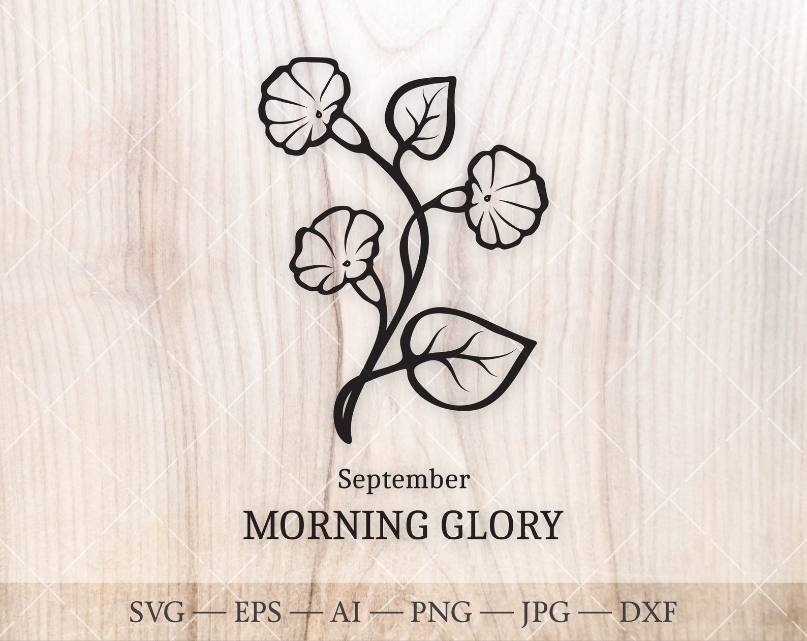 Morning Glory SVG September Birth Flower SVG. Birth Month Etsy
