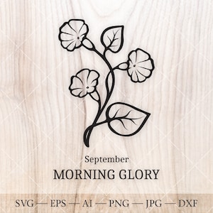 Gloire du matin SVG, septembre naissance fleur SVG. Dessin de contour de fleur de mois de naissance. Clipart de fleur d'anniversaire