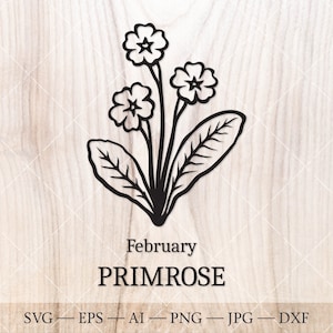 Primrose SVG, Februar Geburt Blume SVG. Geburtsmonat Blumenzeichnung. Geburtstagsblumen Clipart