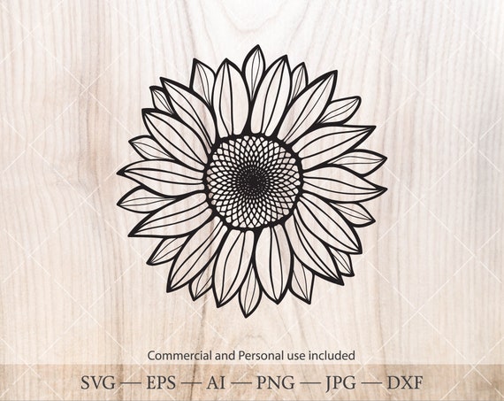 Sunflower Silhouette - Download 583 silhouette sunflower stock photos