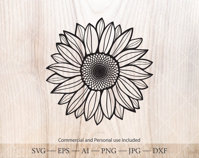 Download Sunflowers SVG. Sunflower silhouette clipart. Botanical ...